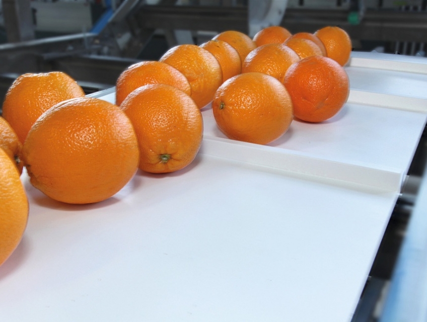 Băng tải Habasit - Băng Tải Thực Phẩm