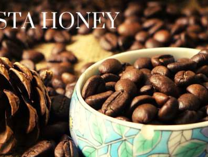 Cà phê máy tại Biên Hòa Đồng Nai hàng loại 1 giá sỉ từ xưởng