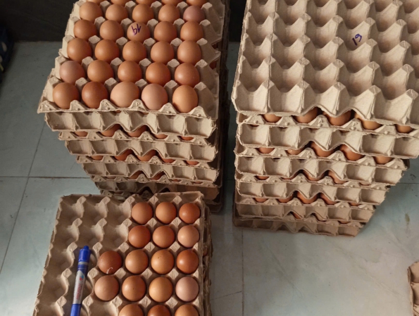 [Giao trong TPHCM] Trứng gà công nghiệp, trứng vịt giá sỉ