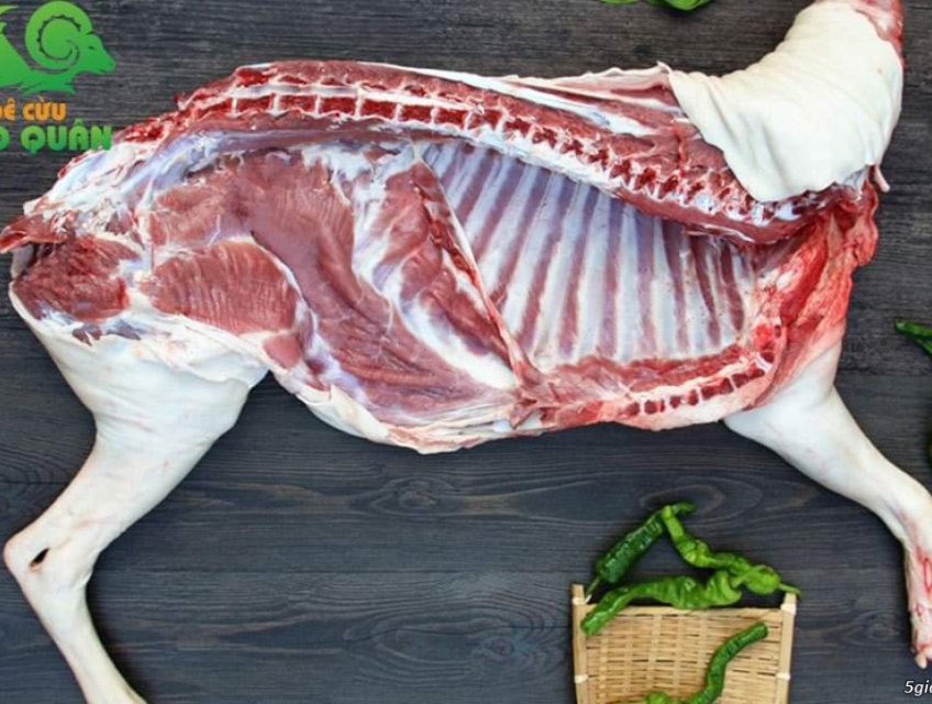 Mua bán Thịt Dê tươi Ninh Thuận: Đùi Dê, Sườn Dê, Chân Dê,Vú Dê,Pín Dê
