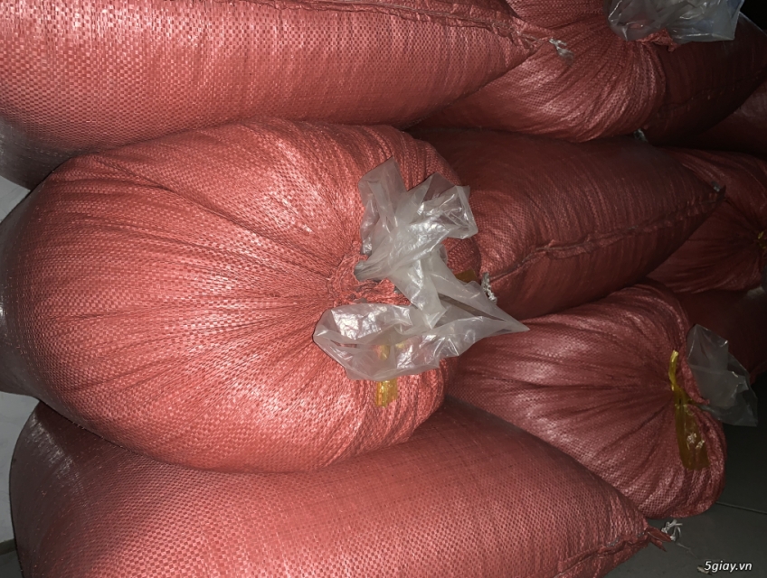 Cà phê hạt pha máy