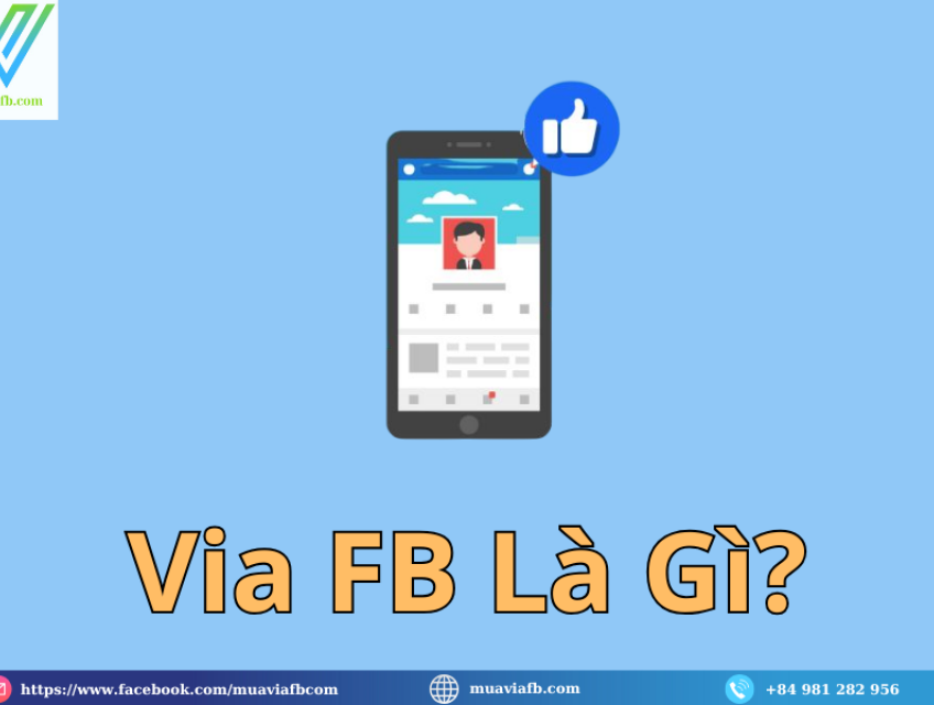VIA FB Và Những Sai Lầm Cần Tránh Khi Marketing Trực Tuyến
