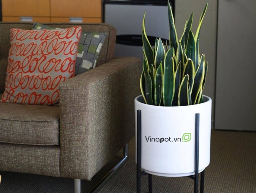 Địa chỉ cung cấp chậu cây composite uy tín tại Hà Nội