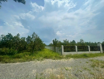 Cho thuê đất 1000m2 ĐT 761 Thanh Sơn, Định Quán, Đồng Nai