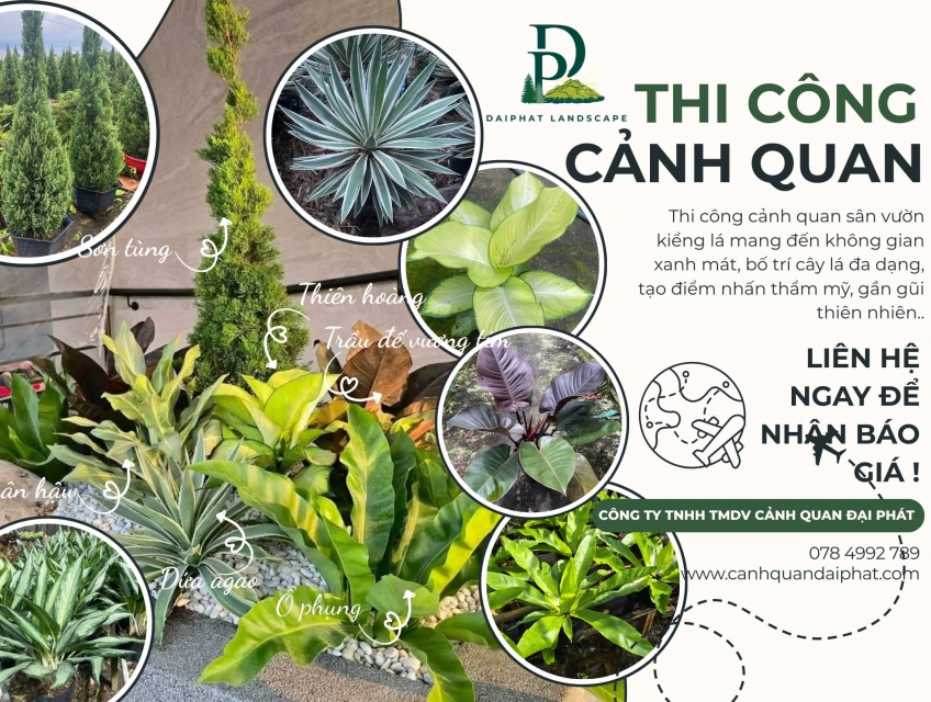 Thiết kế thi công tiểu cảnh sân vườn kiểng lá TPHCM, Đồng Nai 2026