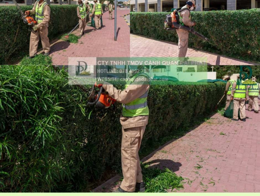 Cắt tỉa cây xanh Đồng Nai đúng tiêu chuẩn, an toàn