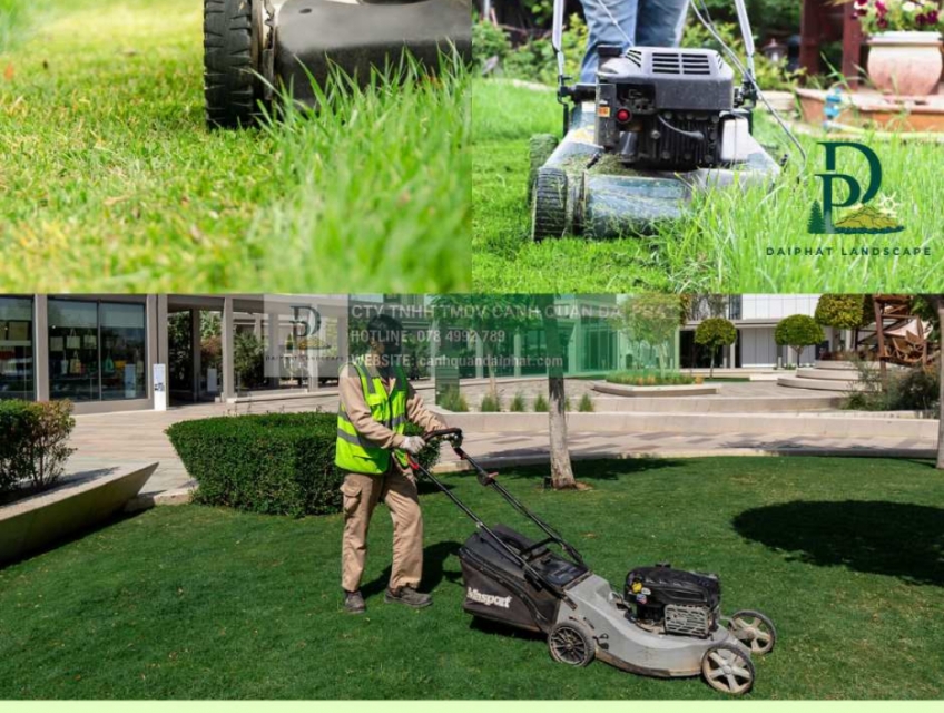 Dịch vụ cắt cỏ – cắt tỉa cây xanh nhà máy KCN Long Thành, Đồng Nai