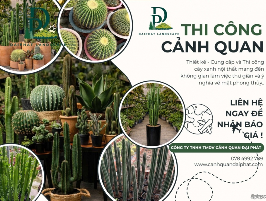 Thiết kế Thi công cây xanh nội thất trang trí văn phòng, quán cafe