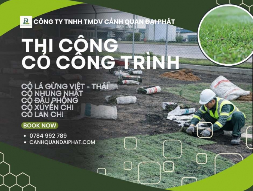 THI CÔNG CỎ CÔNG TRÌNH CHUYÊN NGHIỆP – ĐA DẠNG CHỦNG LOẠI, PHỦ XANH