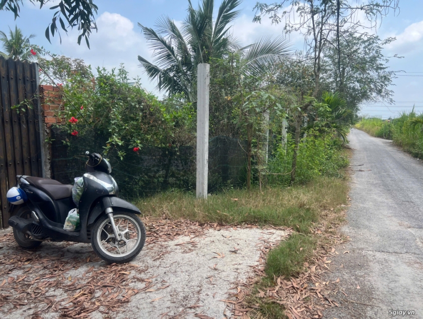 Cần bán 4006m2 đất vườn đường nhựa gần khu nhiều Bệnh viên nhi đồng TP