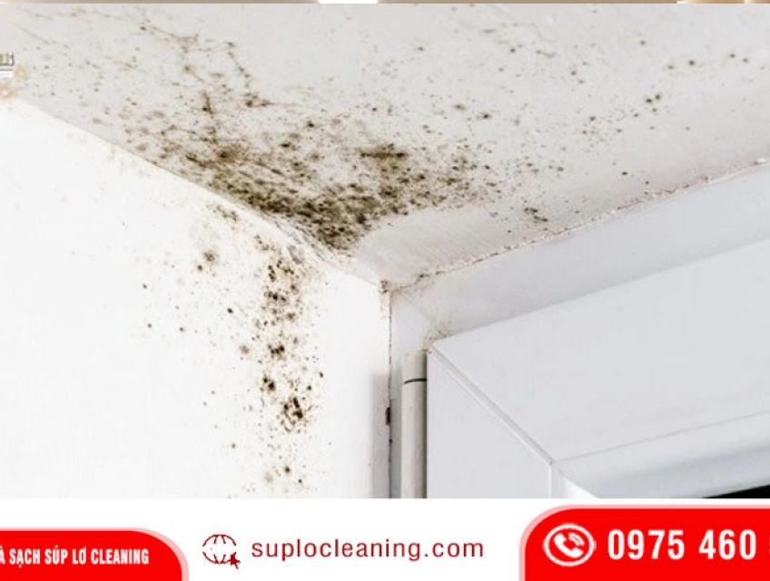 Dịch vụ tẩy mốc tường nhà hiệu quả 100%  đẹp như mới !