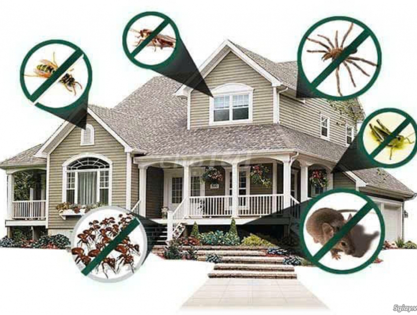 Tuyển 3 NAM LĐPT kiểm soát côn trùng full time ko YC kinh nghiệm