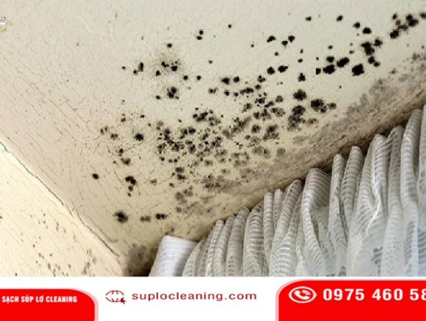 Tẩy mốc tường nhà tại Ba Đình nhanh – sạch tận gốc