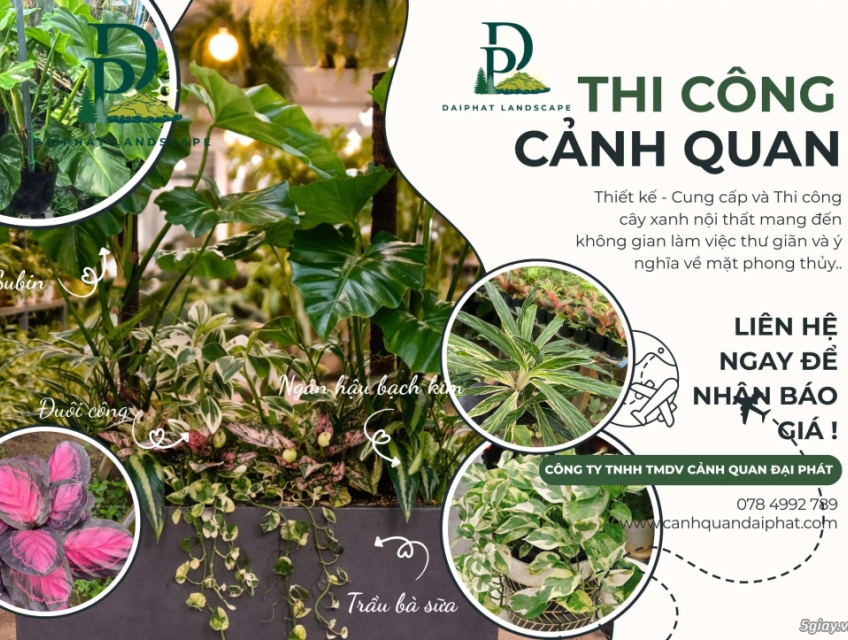 Thiết kế – thi công – bố trí cây văn phòng tại Đồng Nai TPHCM