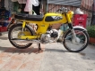 xe 67 màu vàng chanh