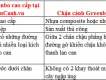 Combo 5 chậu cảnh treo lan can cao cấp Garden in Home giá hấp dẫn