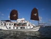 Du Thuyền Indochina Sails 5* 2N1Đ Khám Phá Ha Long Bay Cruise