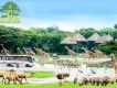 Combo Khu Vui Chơi Vinpearl Land Và Vinpearl Safari Phú Quốc Dành Cho