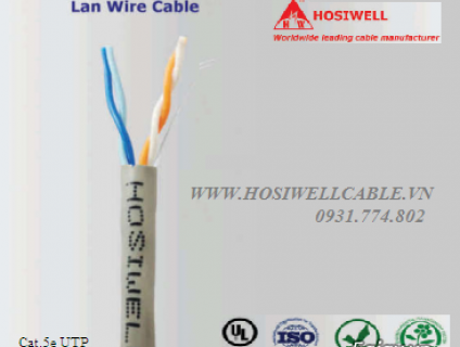 Dây điện thoại Cat.5e UTP 2 đôi, xuất xứ Thái Lan