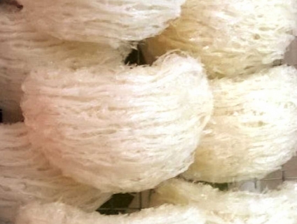 Yến sào Minh Phương