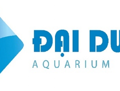 Chuyên lắp đặt hồ cá cảnh giá tốt - Hồ Cá Đại Dương