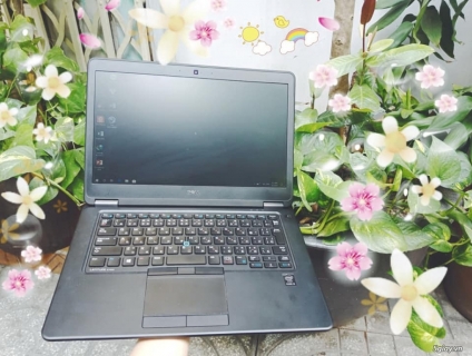 DELL Latitude E7450 (14.1'' HD/CPU i5 5300/RAM 4 GB/120 GB SSD)