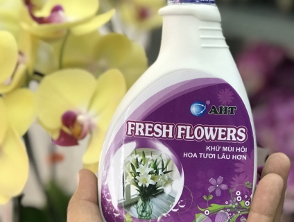 HOA TƯƠI LÂU HƠN TỪ 7-20 NGÀY - FRESH FLOWERS AHT