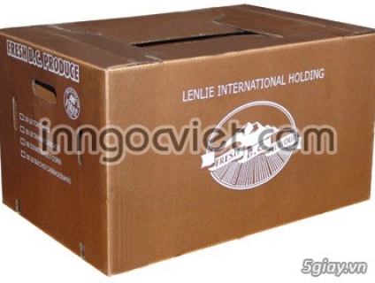 Thiết kế miễn phí, in các loại THÙNG CARTON, in offset số lượng lớn, giá rẻ