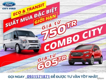 Ford Transit & Ecosport