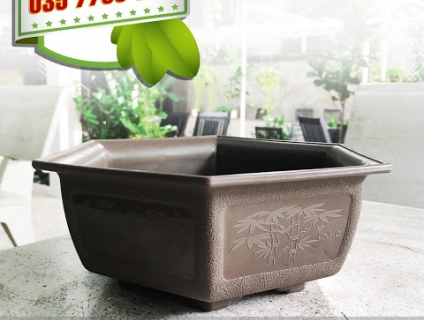 Báo giá Chậu nhựa trồng cây, chậu lục giác, chậu cây trụ, chậu tròn..