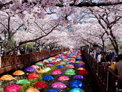 Visa Du lịch hàn Quốc