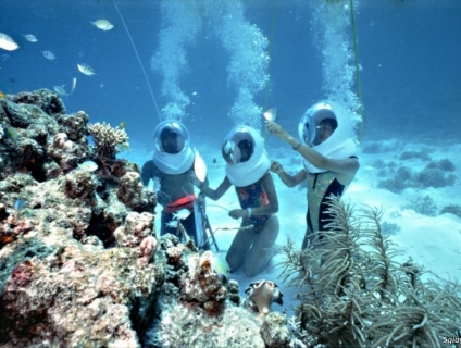 Cù Lao Chàm 2 ngày 1 đêm