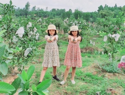 Dịch vụ du lịch uy tín tại miền Trung