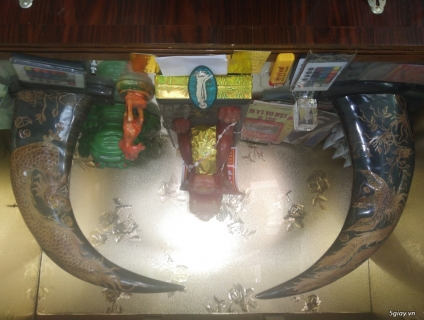 Bán cặp sừng phong thủy rồng phượng