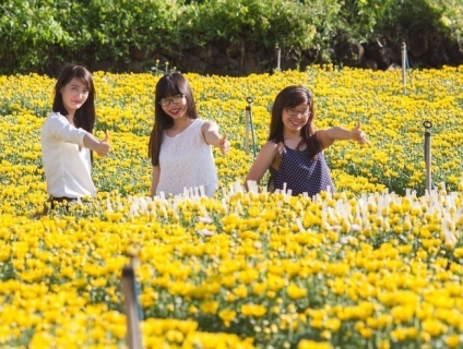 Thanh xuân không nên bỏ qua địa điểm du lịch này