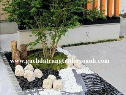 Mẫu sỏi trang trí tiểu cảnh nội thất, tiểu cảnh sân vườn