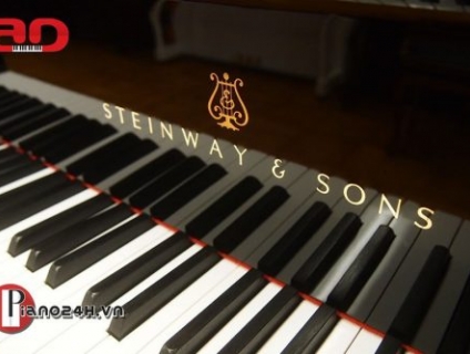 Những thương hiệu piano nổi tiếng mà người chơi đàn nào cũng nên biết
