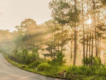 Tour Đà Lạt Mới Nhất