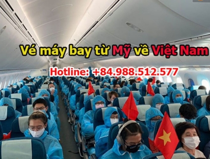 Bán vé máy bay từ Mỹ về Việt Nam cho chuyên gia, Việt Kiều