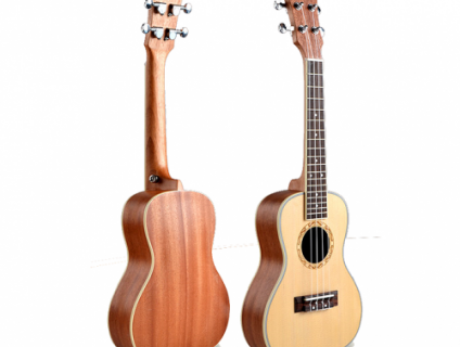 Cách chơi đàn Ukulele cực đơn giản cho người mới tập