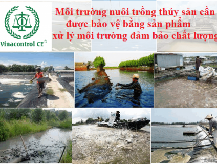 Chứng nhận hợp quy Sản phẩm xử lý môi trường nuôi trồng thủy sản