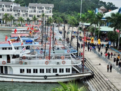 Gợi ý hoạt động hấp dẫn nên thử khi đi tour Hạ Long