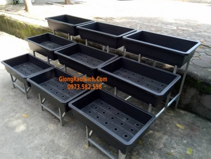 Kệ Trồng Rau Sạch 3 Tầng Bậc Thang tại Nhà