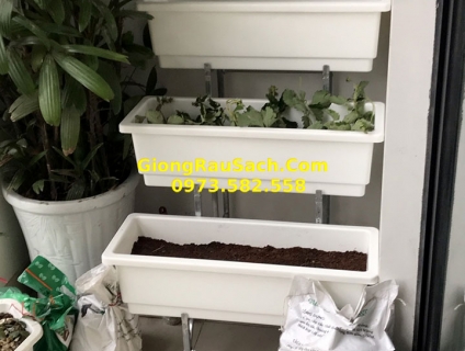 Kệ Trồng Rau Cây Cảnh Bậc Thang Ban Công