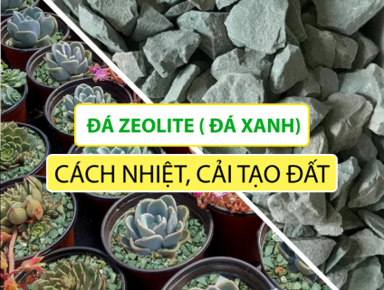 ĐÁ ZEOLITE ( ĐÁ XANH) CÁCH NHIỆT, CẢI TẠO ĐẤT