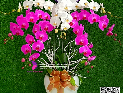 Bí quyết tặng hoa phụ nữ ngày 8-3 phù hợp tính cách