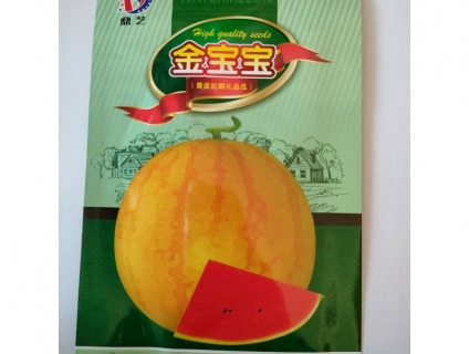 PHÂN PHỐI HẠT GIỐNG CÂY TRỒNG TẠI CỦ CHI