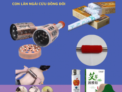 Con lăn ngải cứu đồng đôi đả thông kinh lạc, giảm béo