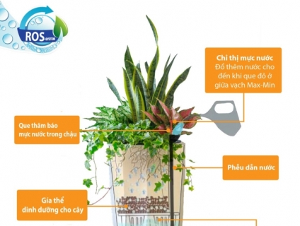 Vinapot giới thiệu mẫu chậu tự tưới cây