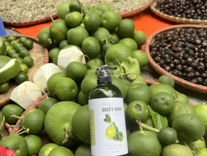 Cung cấp nguyên liệu Spa Đà Nẵng, Hội An